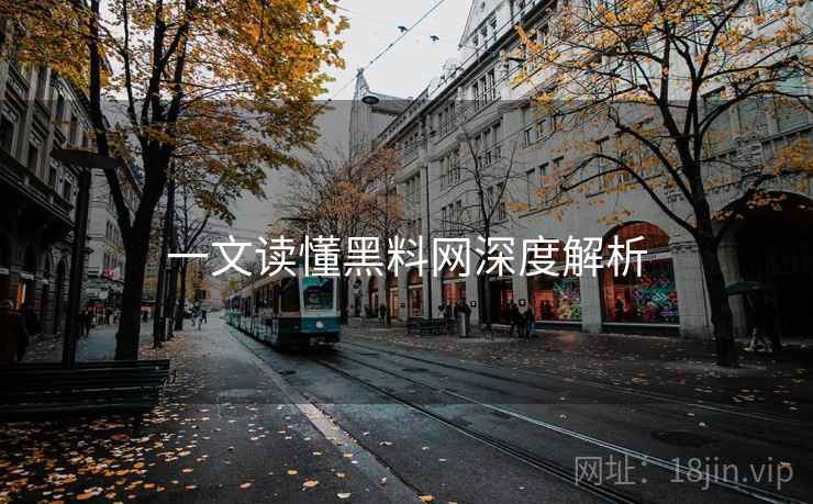 一文读懂黑料网深度解析