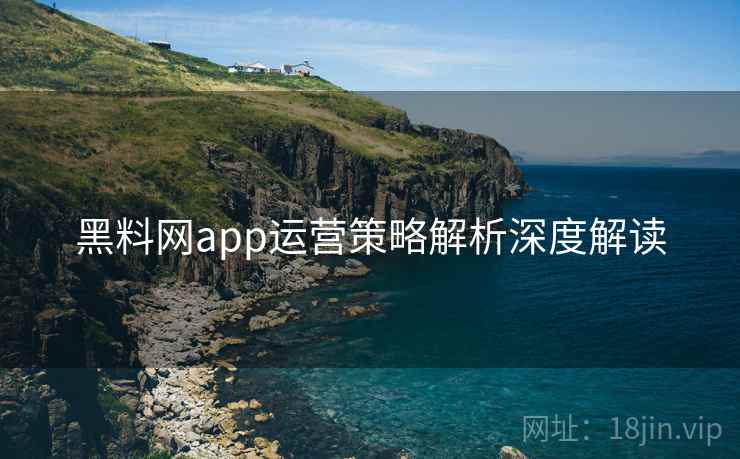 黑料网app运营策略解析深度解读