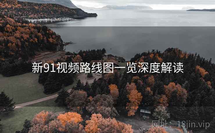 新91视频路线图一览深度解读