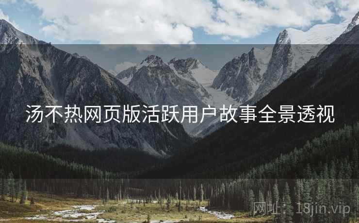 汤不热网页版活跃用户故事全景透视