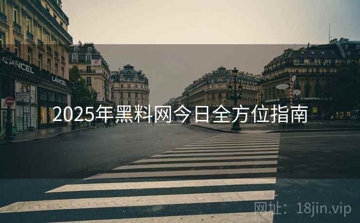 2025年黑料网今日全方位指南