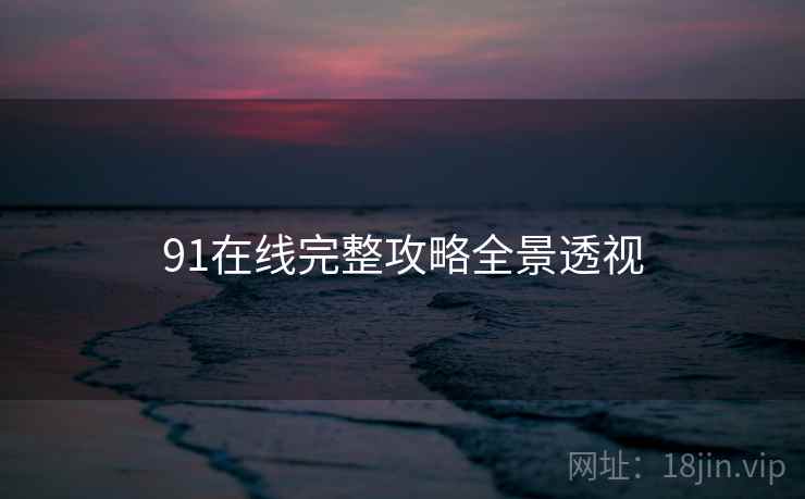 91在线完整攻略全景透视