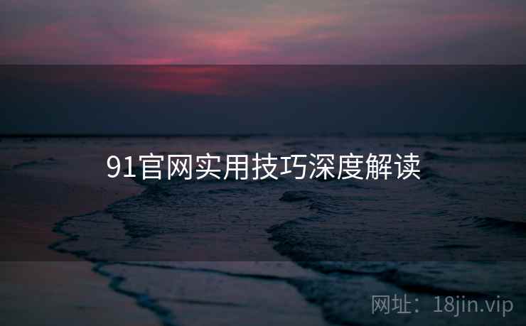 91官网实用技巧深度解读