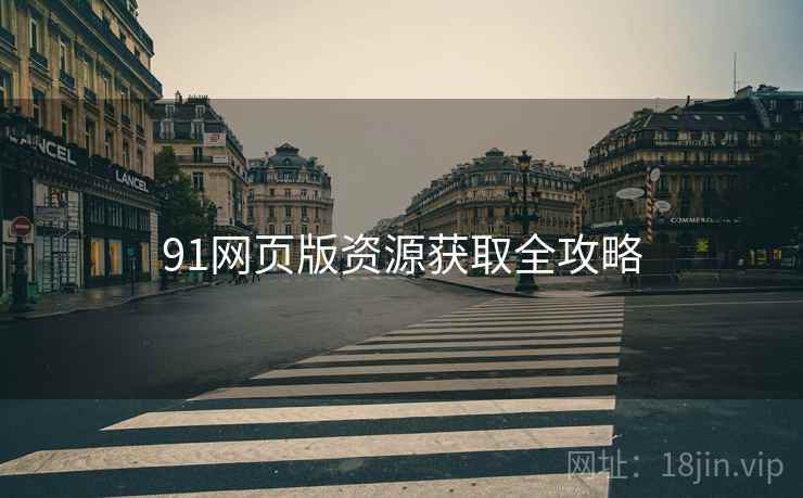91网页版资源获取全攻略