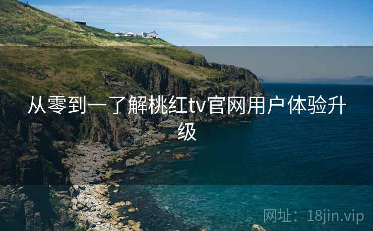 从零到一了解桃红tv官网用户体验升级