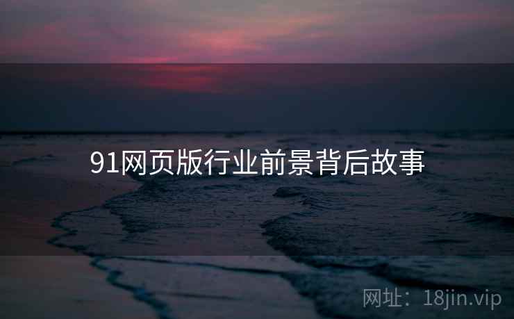 91网页版行业前景背后故事