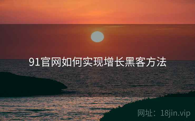 91官网如何实现增长黑客方法